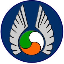 my collection of Irish Air Corps insignia